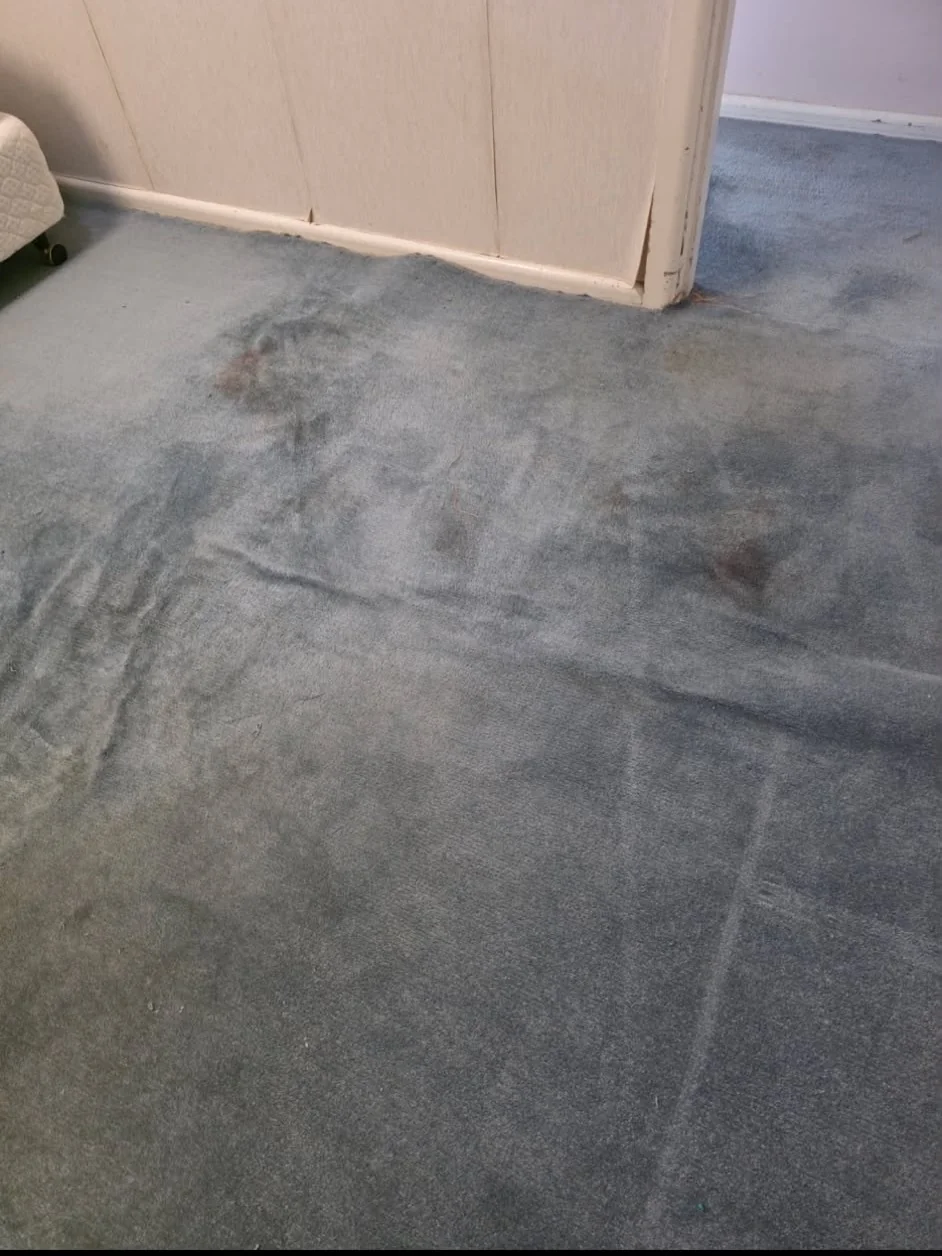After cleaning — result 05