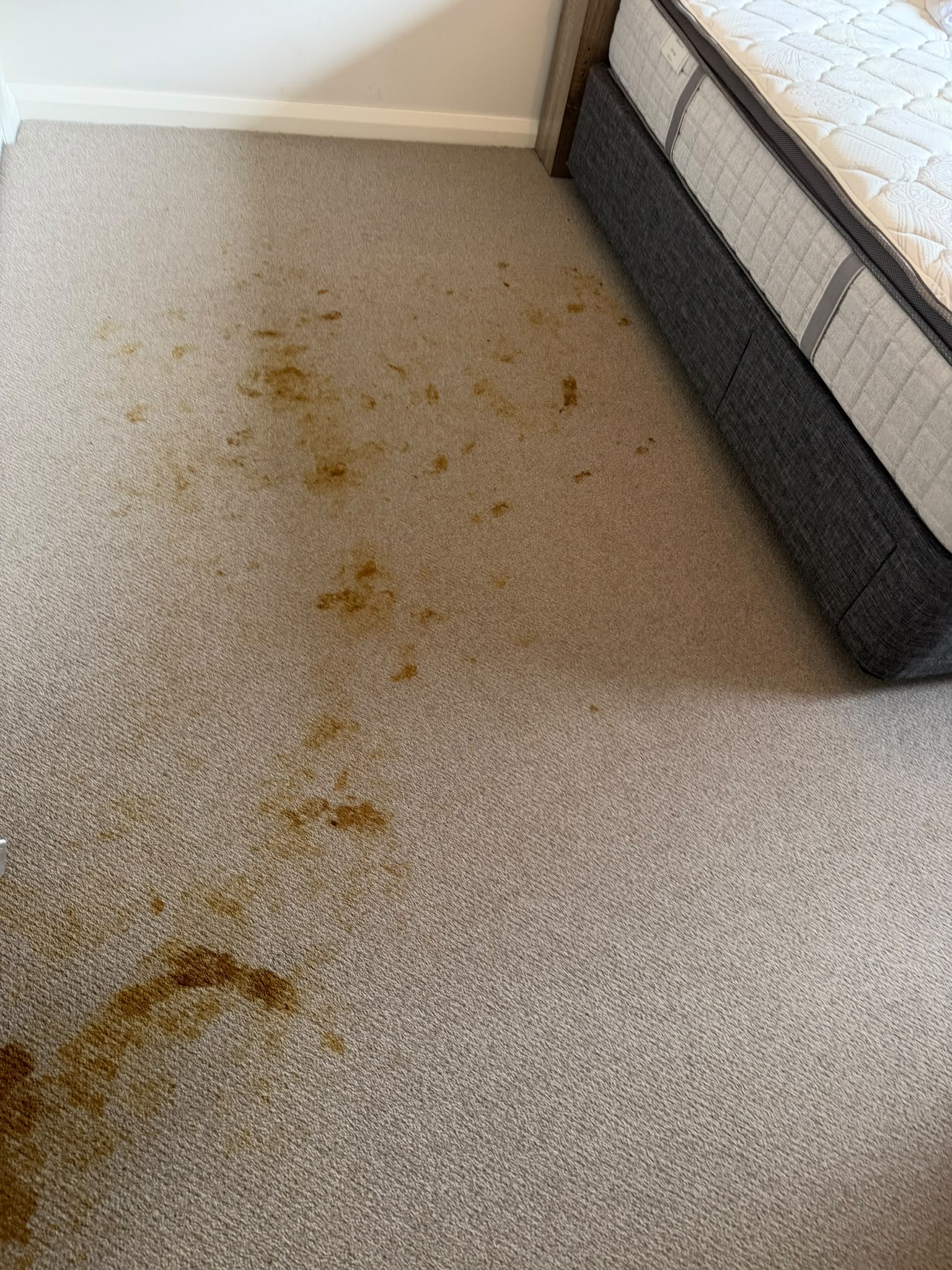 Before cleaning — result 07